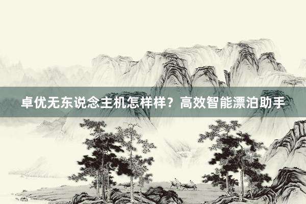 卓优无东说念主机怎样样？高效智能漂泊助手