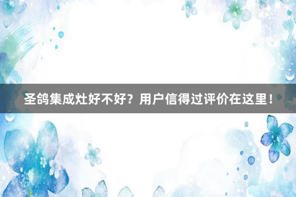 圣鸽集成灶好不好？用户信得过评价在这里！